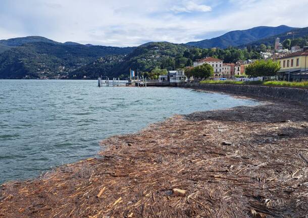 lago maggiore legna