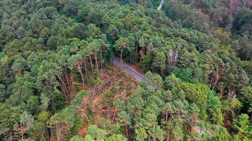 Il Parco Pineta ferito dalla tempesta