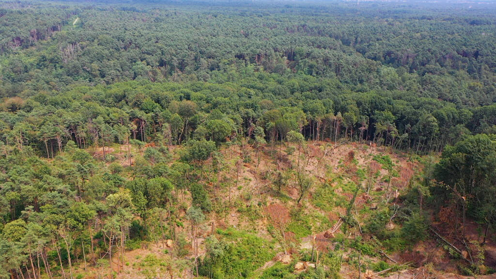 Il Parco Pineta ferito dalla tempesta
