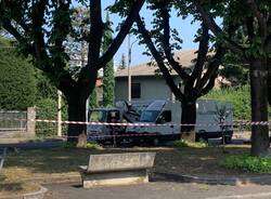 L’abbattimento dei tigli di piazza 25 aprile a Cassano 