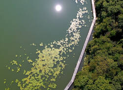 La nuova passerella del lago di comabbio