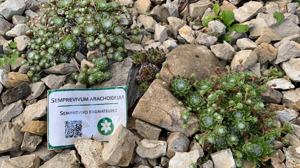 La Serra Fredda all'Osservatorio Astronomico del Campo dei Fiori