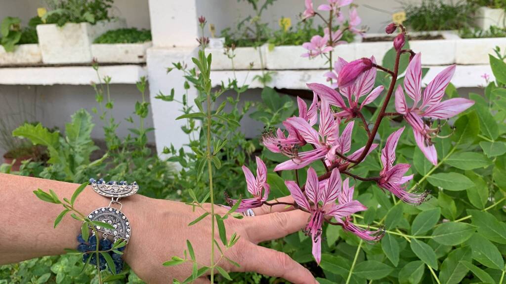 La Serra Fredda all'Osservatorio Astronomico del Campo dei Fiori