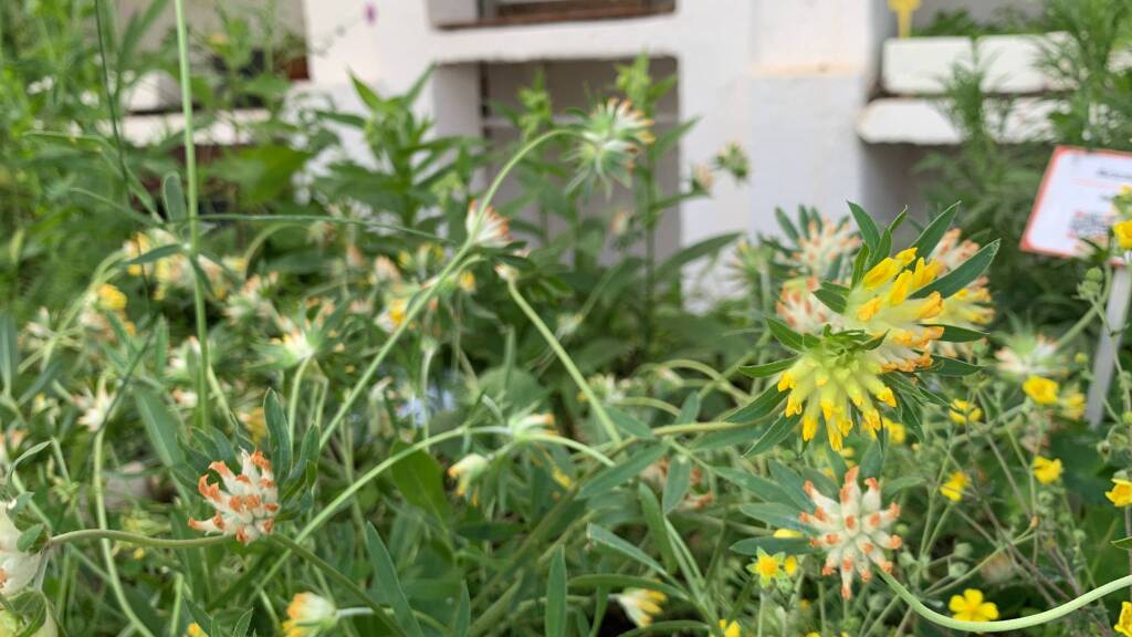 La Serra Fredda all'Osservatorio Astronomico del Campo dei Fiori