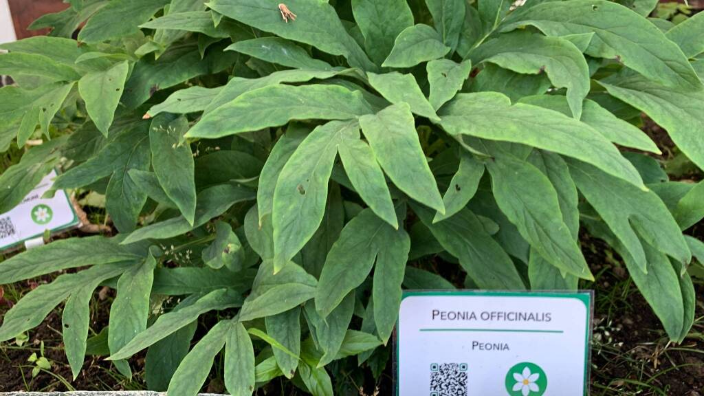 La Serra Fredda all'Osservatorio Astronomico del Campo dei Fiori