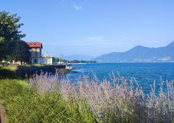 palazzo verbania porto vecchio luino marzia malesani