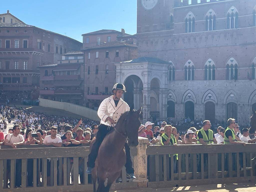 Palio di Siena agosto 2023, l'assegnazione dei cavalli