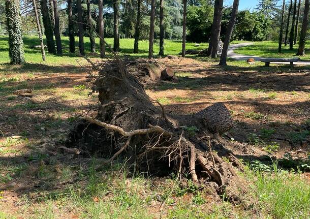 Parco castello a Legnano riaperto al pubblico