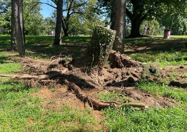 Parco castello a Legnano riaperto al pubblico