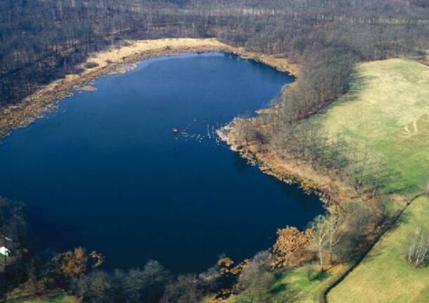 parco naturale dei lagoni mercurago arona