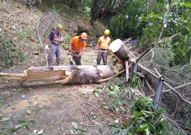 Protezione civile e ANA Varese in missione a Milano e in Sardegna