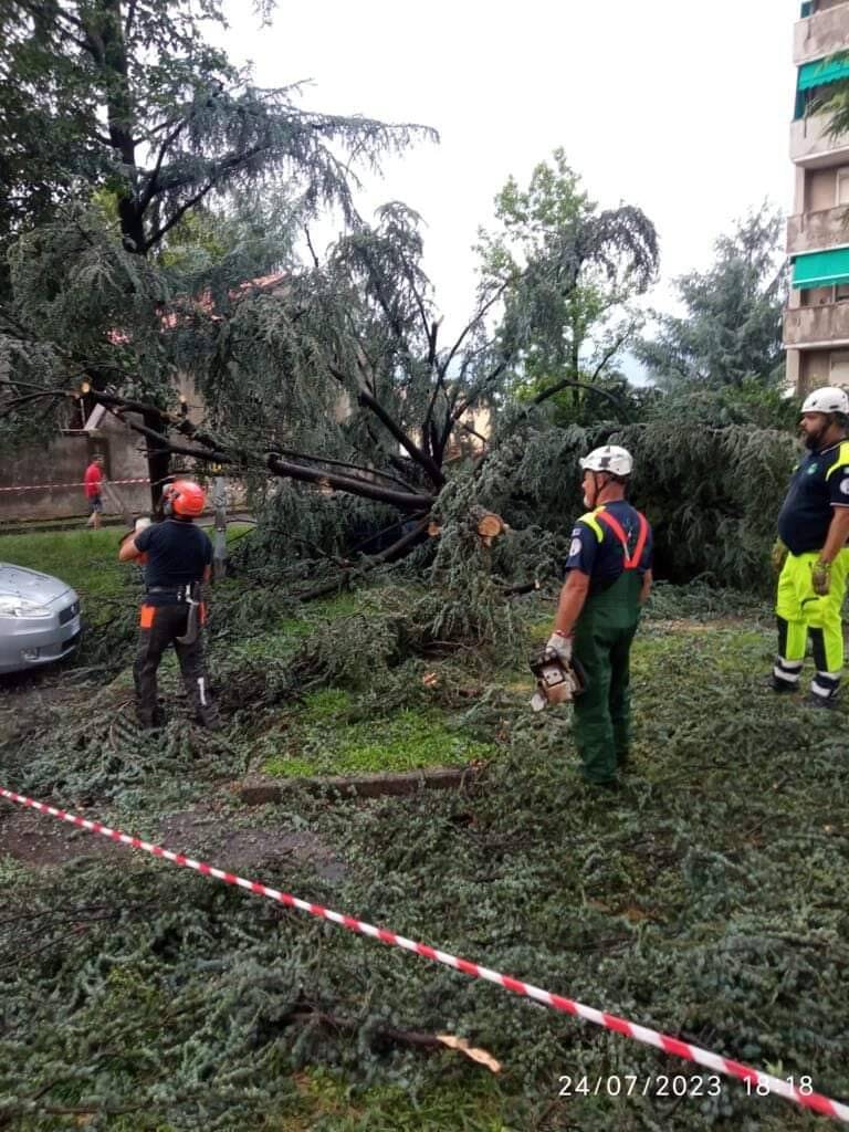 Protezione civile e ANA Varese in missione a Milano e in Sardegna