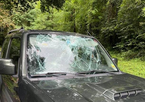rancio valcuvia bedero ramo su auto