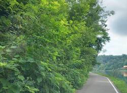 strada alzaia Somma