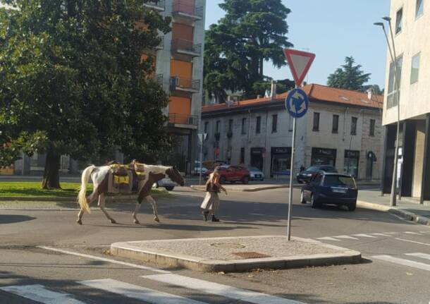 Uomo a cavallo a Legnano