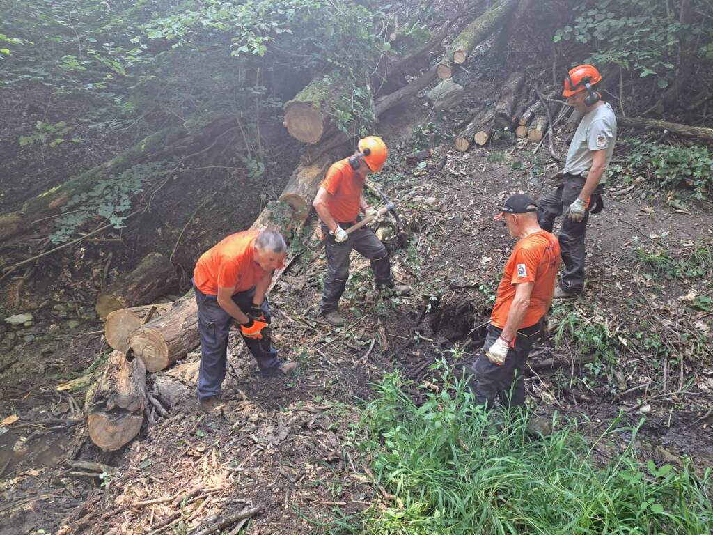 Volontari gruppo antincendio di Comerio