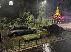 Maltempo a Milano, alberi caduti e danni