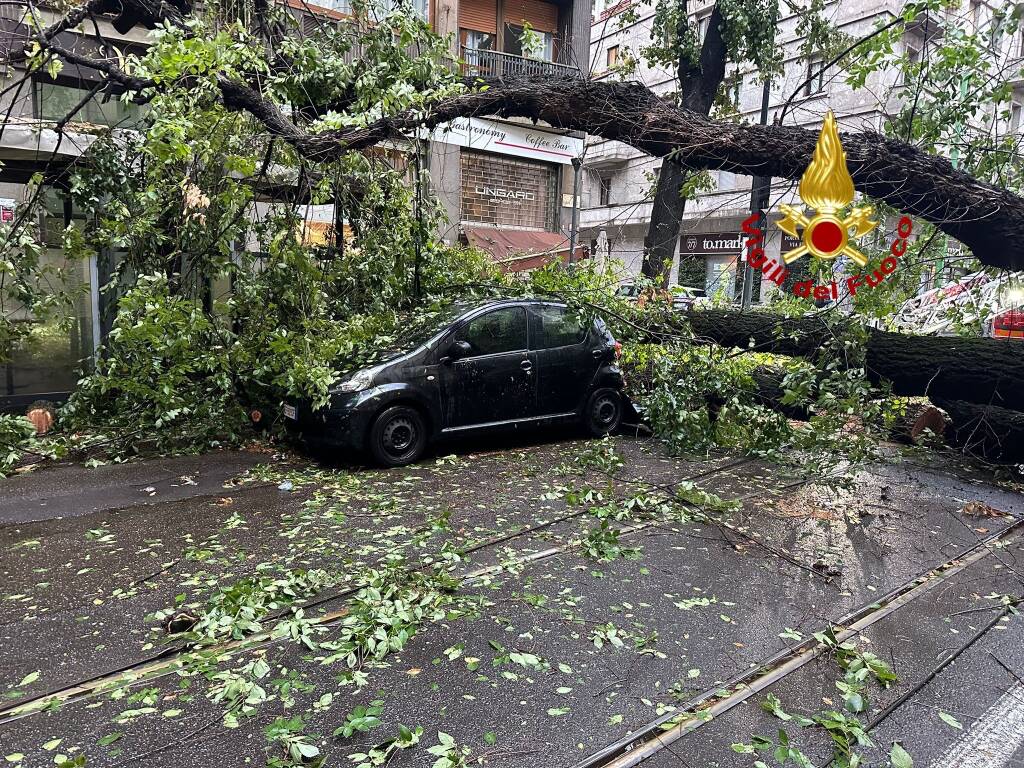 Maltempo a Milano, alberi caduti e danni