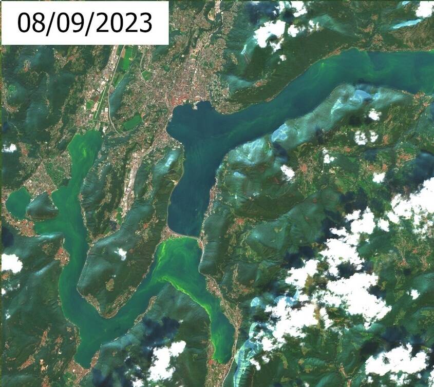cianobatteri - immagini tratti dal sito della Supsi