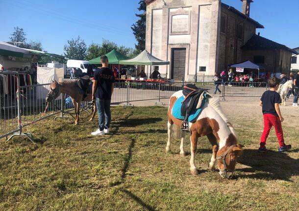 Festa dell’Uva con il mercato degli ambulanti di Forte dei Marmi con la contrada La Flora a Legnano
