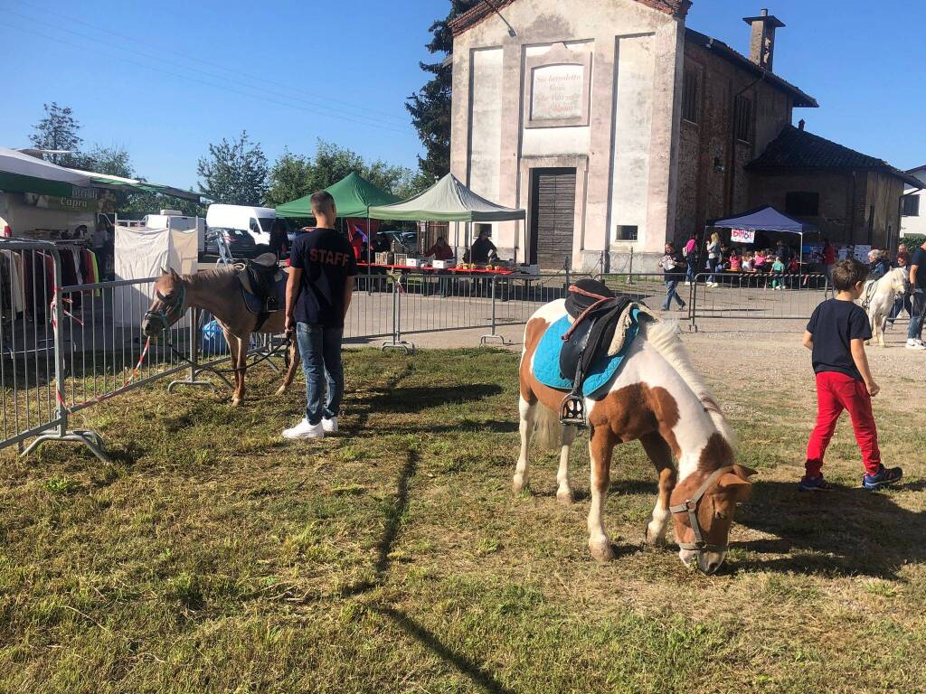 festa dell'uva con la Contrada La Flora