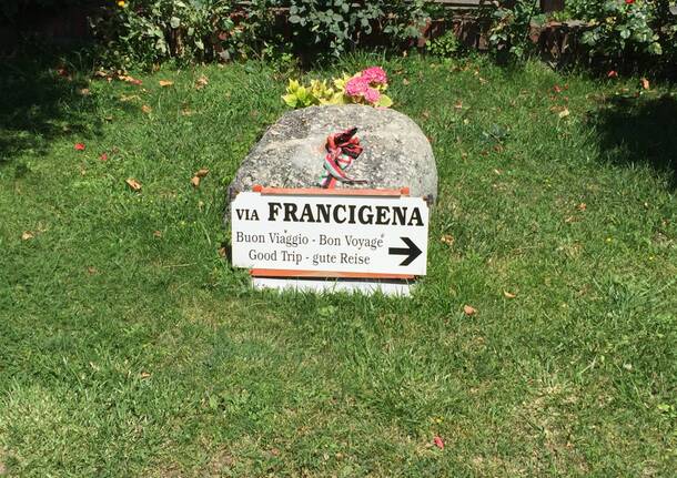 Francigena napoleone