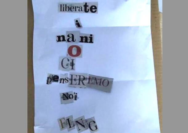 fronte liberazione nani da giardino