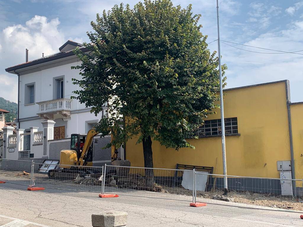Gavirate abbattimento tigli via Cavallotti