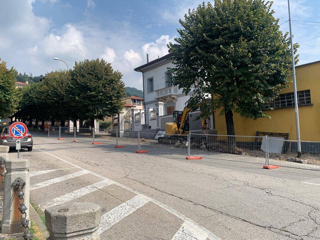 Gavirate abbattimento tigli via Cavallotti