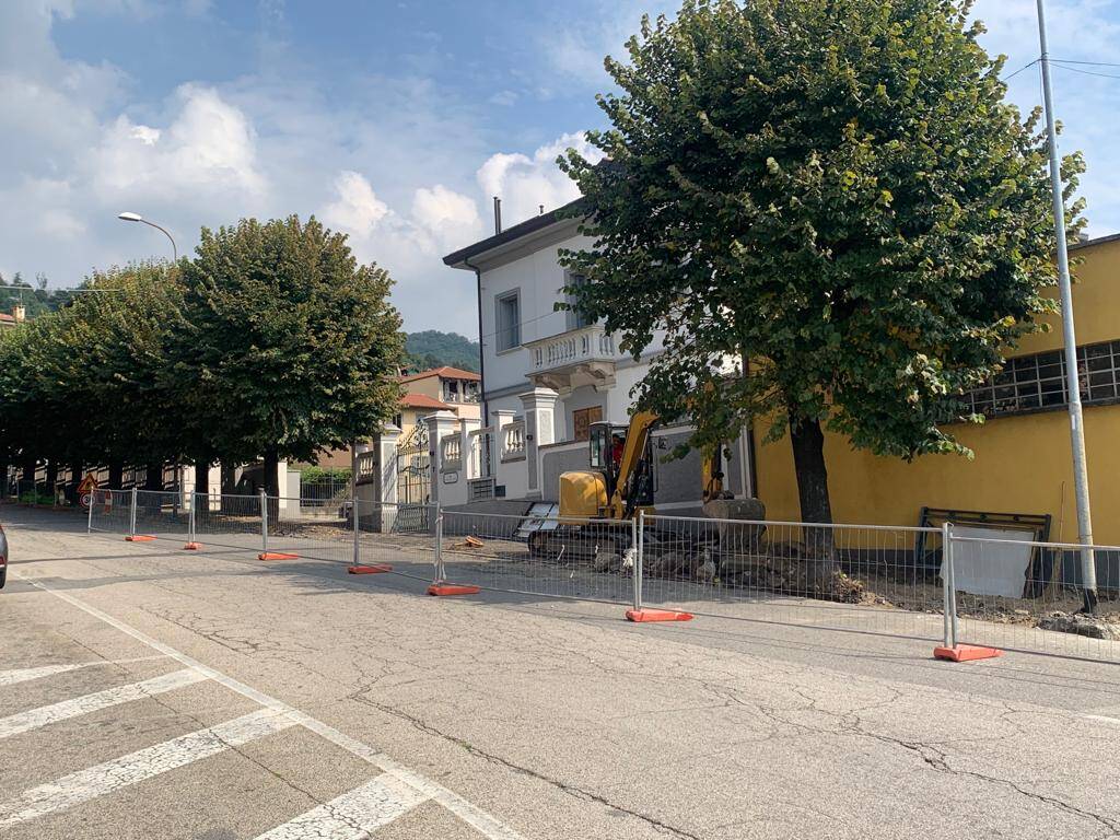 Gavirate abbattimento tigli via Cavallotti