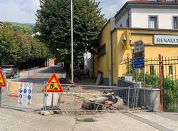 Gavirate abbattimento tigli via Cavallotti