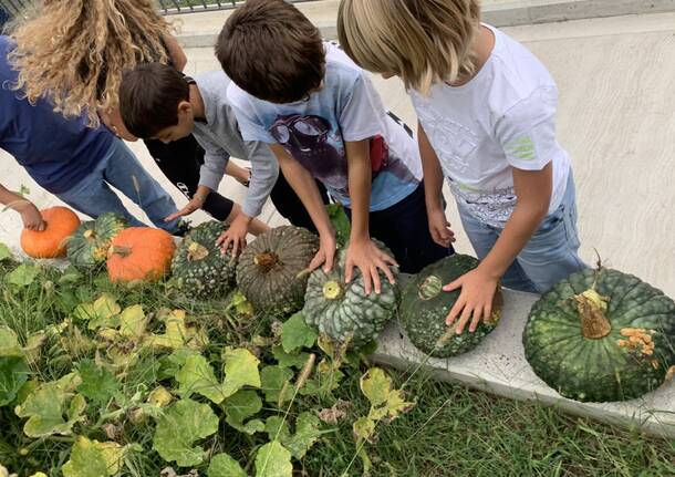Green Market di fine estate per l’orto scolastico di Morosolo
