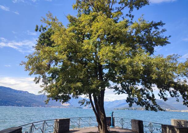 Il Lago Maggiore a Cerro di Laveno dopo le recenti piogge