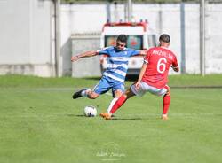 Le foto di Pro Patria - Triestina (0-3)
