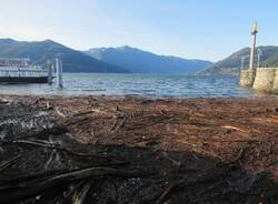 Legna nel lago Maggiore davanti a Luino