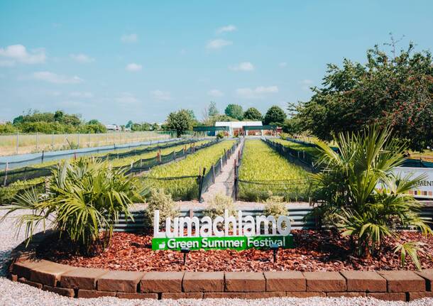 Lumachiamo Summer Fest