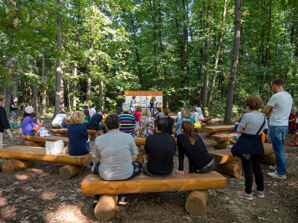 "Puliamo il Mondo" al Parco Alto Milanese