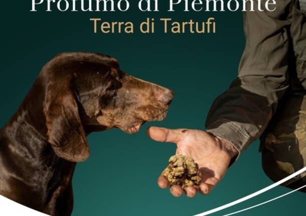 tartufo piemonte