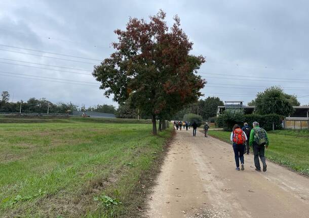 35 pellegrini in cammino da Morimondo a Pavia per rendere omaggio a Sant’Agostino