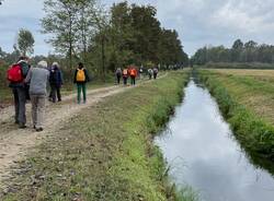 35 pellegrini in cammino da Morimondo a Pavia per rendere omaggio a Sant’Agostino