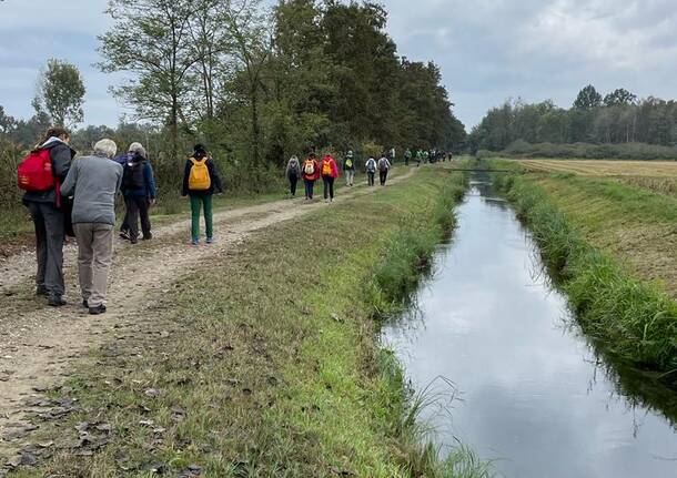 Da Morimondo a Pavia lungo la Via Francisca per rendere omaggio a Sant’Agostino