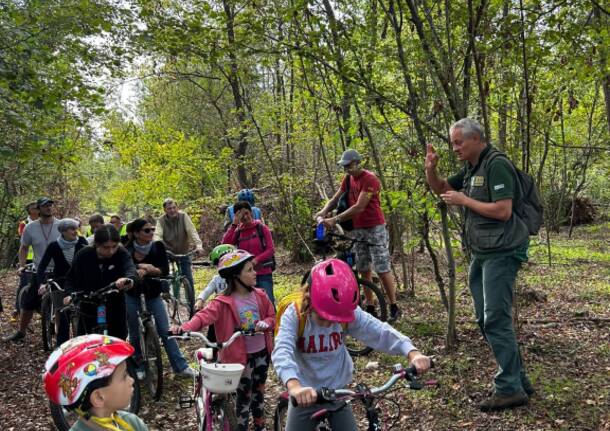 A Gorla Minore l'edizione 2023 della festa del Bosco del Rugareto