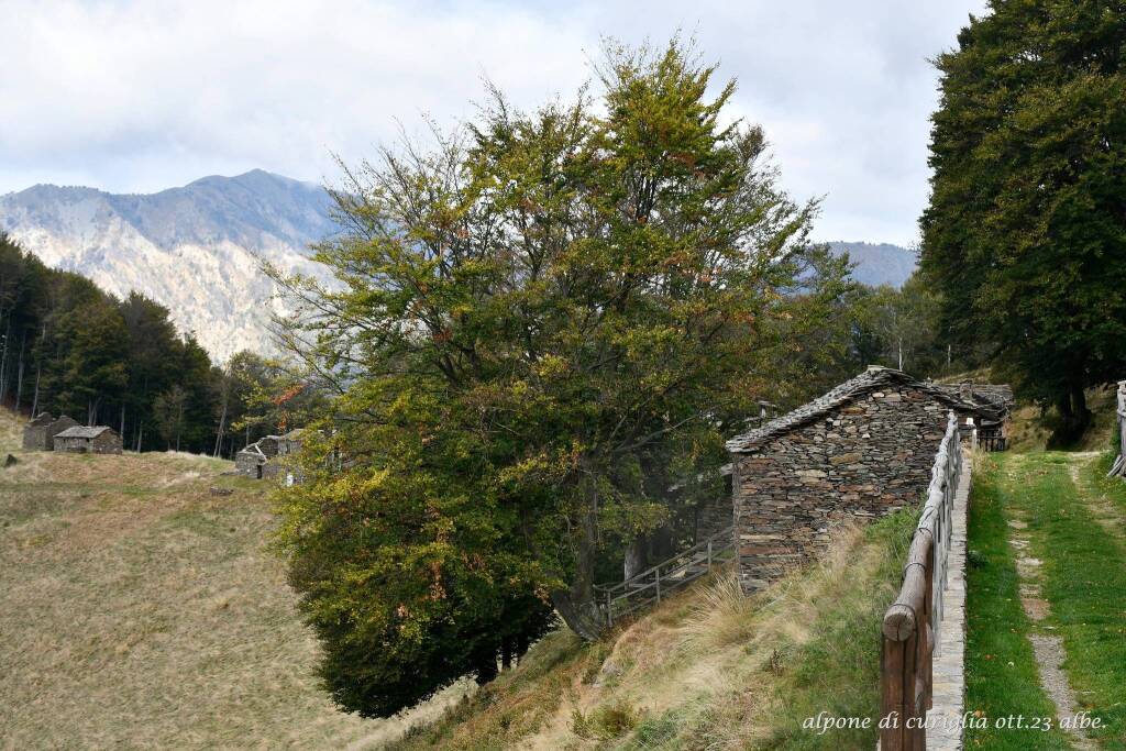 All'alpone di Curiglia