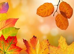 autunno