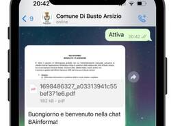 ba informa busto arsizio whatsapp