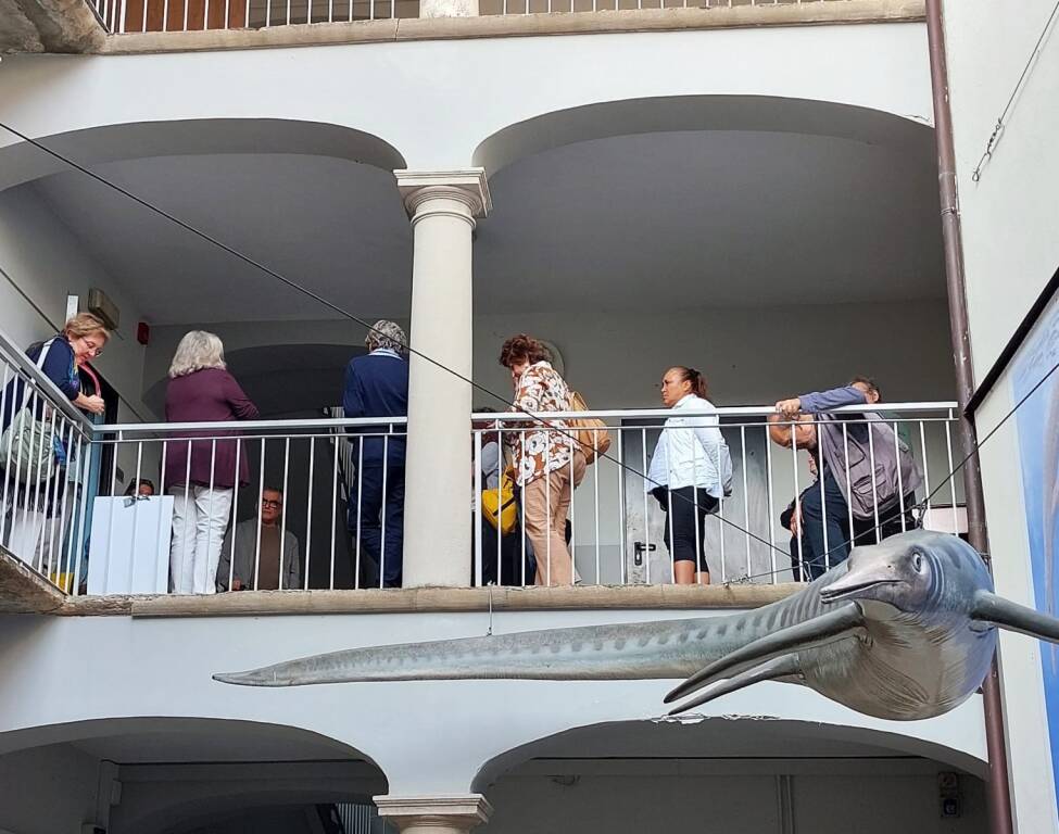 Besano - Venerdì con i Vip al Museo dei Fossili