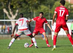 calcio varese asti