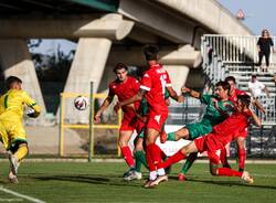 calcio varese rg ticino