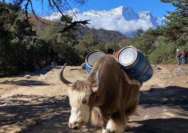 Diario nepalese, settimo giorno