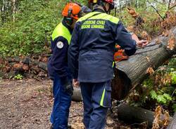 Esercitazioni di Protezione Civile nel Parco delle Groane